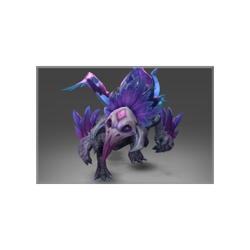 Servant of Scree'Auk Baby Roshan