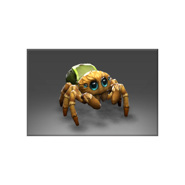 Unusual Itsy